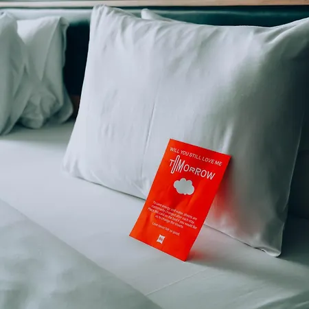 Ibis Airport Hotel 4*