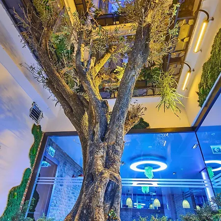 Ibis Airport Hotell Istanbul